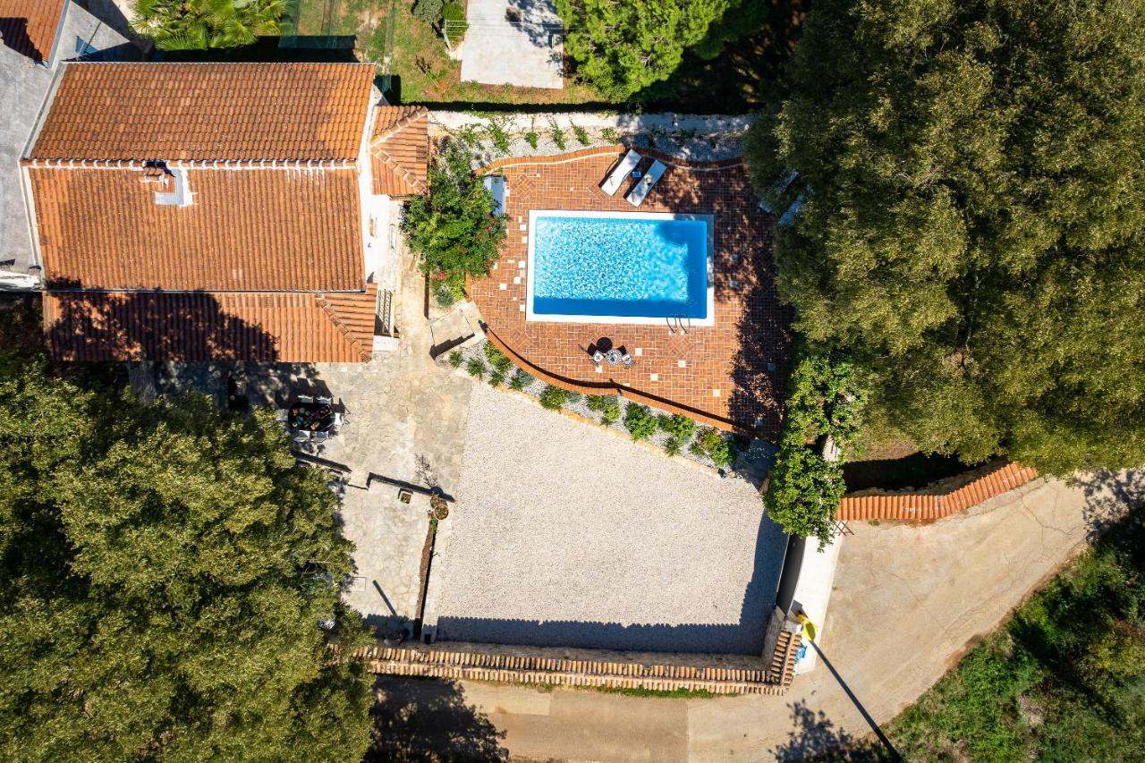 Villa Arboretum Poreč Eksteriør bilde